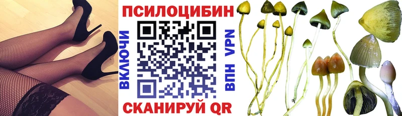 Галлюциногенные грибы прущие грибы  цены   Мценск 